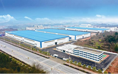 湖南奇力新电子科技有限公司